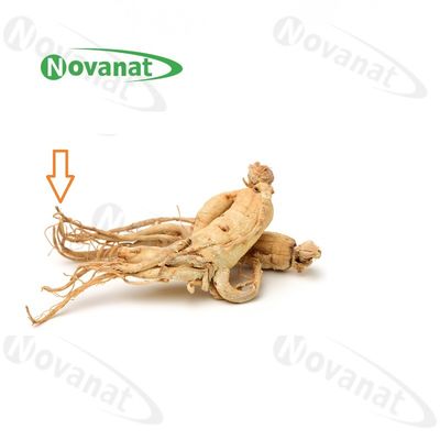 Ginseng Rootlets Organic Dried Herbs / Food Supplement