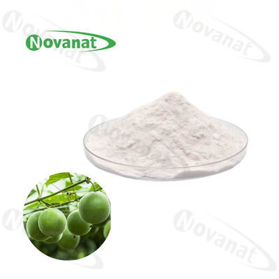 chất lượng  Water Soluble Monk Fruit Extract Powder 50% Mogroside V Natural Sweetener Clean Label nhà máy