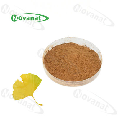 chất lượng  100% Nature Gingko Biloba Leaf Extract Powder/USP/E.P/CP15/Dietary Supplements Ingredients nhà máy