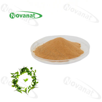 chất lượng  100% Natural Extract Green Tea L-Theanine 20% / 30% / 40% Natural L-Theanine nhà máy