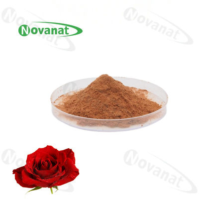 chất lượng  Rose Flower Extract Powder 4/120% And 25% Polyphenols/Food Beverage nhà máy