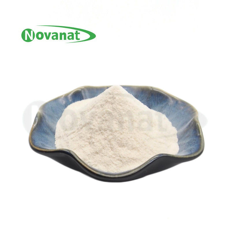 Lacticaseibacillus Rhamnosus LR22/500billion CFU / G / Vegan / Free Allergen / Gluten / Dairy