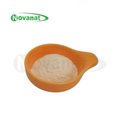 Pediococcus Acidilactici PA10 500billion CFU/g Bột Probiotics Thuốc ăn chay/không chứa chất gây dị ứng/không chứa gluten/không chứa sữa
