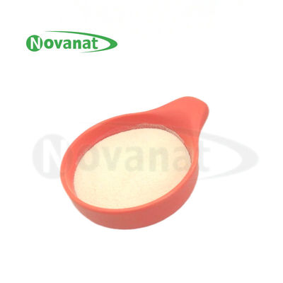 Tyndallized / Vegan Ligilactobacillus salivarius LS86 Không dị ứng / Không gluten / Không sữa