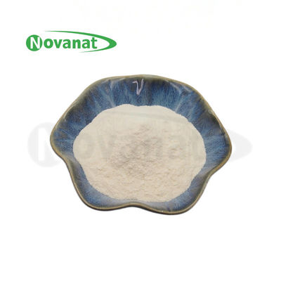 Bột Probiotics Ligilactobacillus salivarius LS86 100 tỷ CFU/g Thuần Chay/ Không Gây Dị Ứng/ Không Gluten/ Không Sữa