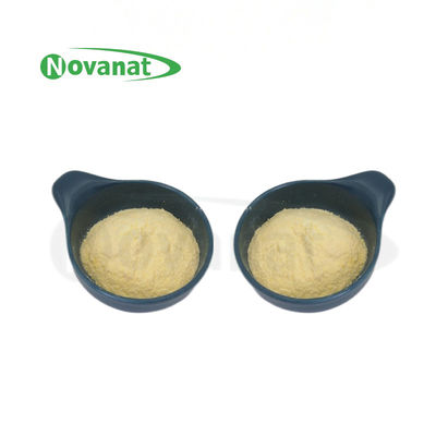Bột Postbiotics Lactiplantibacillus plantarum LP-Onlly Tyndallized / Thuần Chay / Không Gây Dị Ứng / Không Gluten / Không Sữa