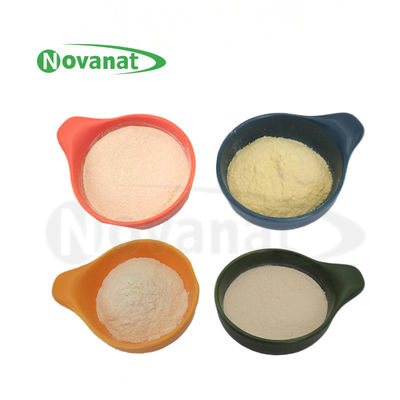 Lactiplantibacillus plantarum LP-Only Probiotics Powder Thuốc ăn chay / Không có chất gây dị ứng / Không có gluten / Không có sữa