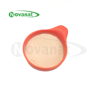 Bột postbiotics Bifidobacterium animalis subsp. lactis BI516 Tyndallized / Thuần chay / Không gây dị ứng / Không chứa gluten / Không chứa sữa
