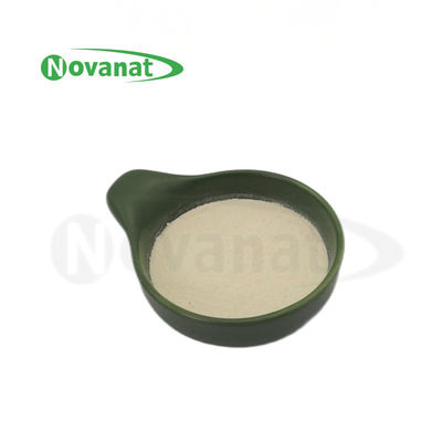 Lactobacillus delbrueckii subsp. Bulgaricus LB2/50 tỷ CFU/g/thuần chay/chất gây dị ứng/không có gluten/không có sữa